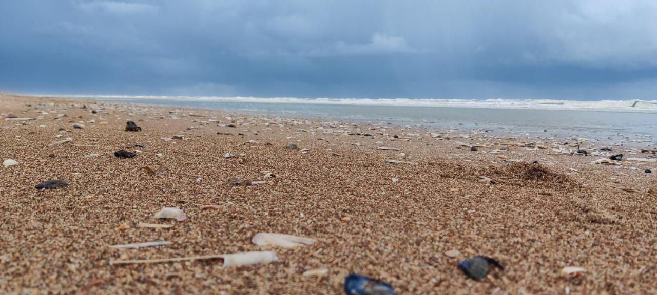 Le Zandkreek Plage & Centre - 2 Ch Koksijde Bagian luar foto