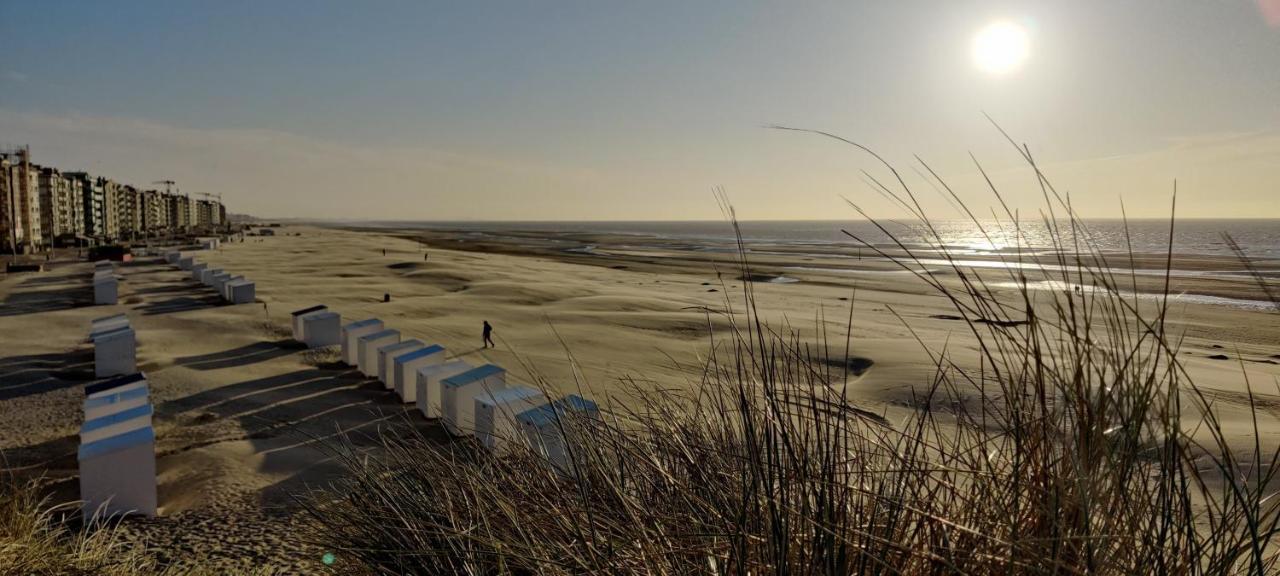 Le Zandkreek Plage & Centre - 2 Ch Koksijde Bagian luar foto